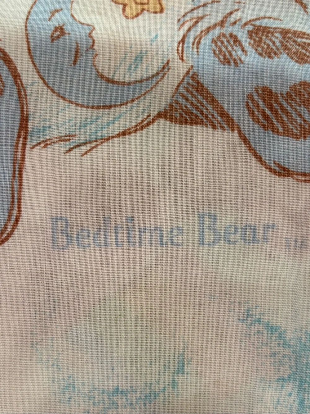 Care Bears Pillowcase Vintage 1980's Love-a-Lot Bear Bedtime Bear Pink Blue